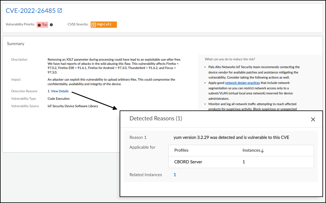 Summary section of Vulnerability Details.