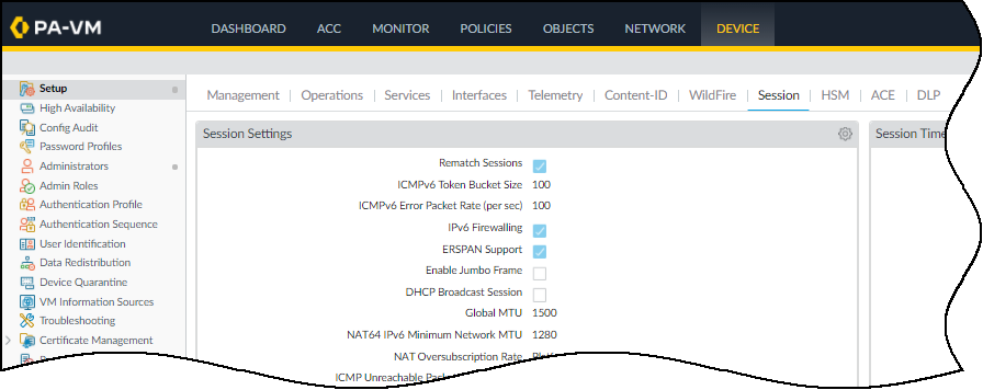 Screenshot showing ERSPAN Support enabled