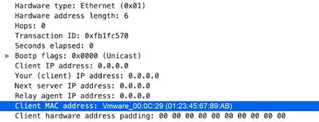 DHCP Request CHADDR Capture