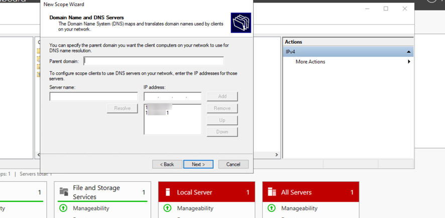 Windows DNS Options