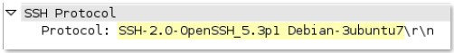 ssh-req-banner context capture