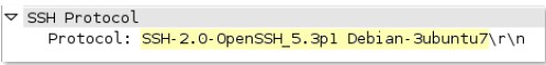 ssh-rsp-banner context capture