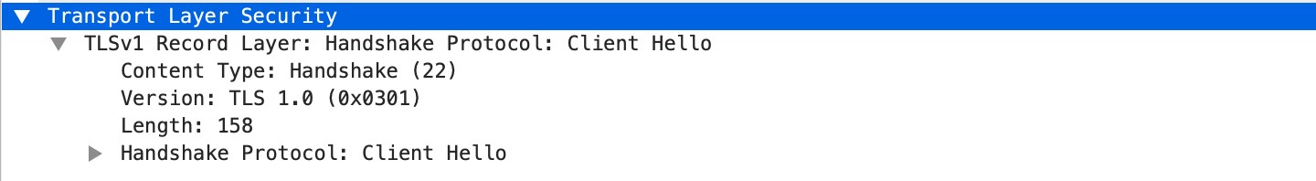 ssl-req-protocol-payload context capture