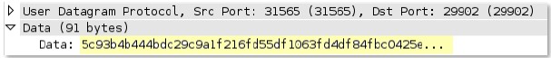 unknown-req-udp-payload context capture