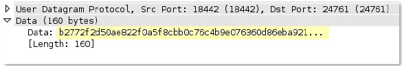 unknown-rsp-udp-payload context capture