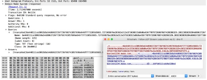 dns-rsp-tcp-over-dns context capture