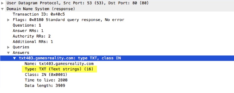 dns-rsp-txt-found context capture