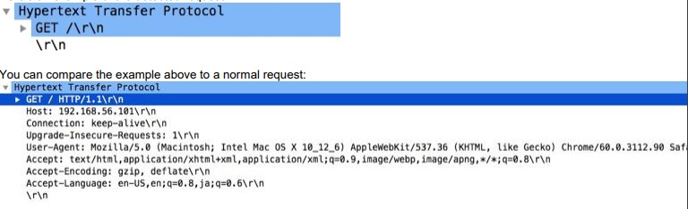 http-req-no-version-string-small-pkt context capture