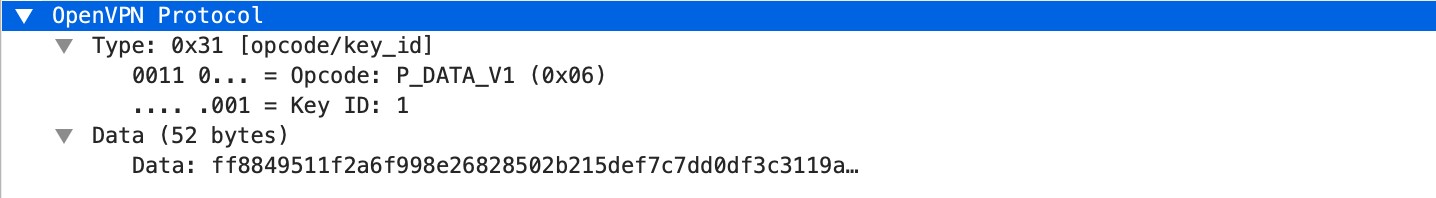 open-vpn-req-protocol-payload context capture