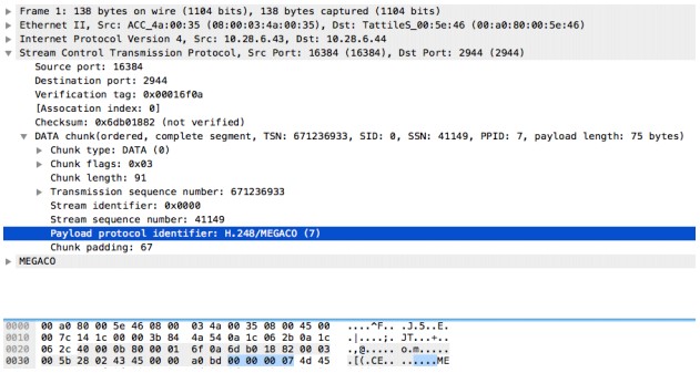 sctp-req-ppid context capture