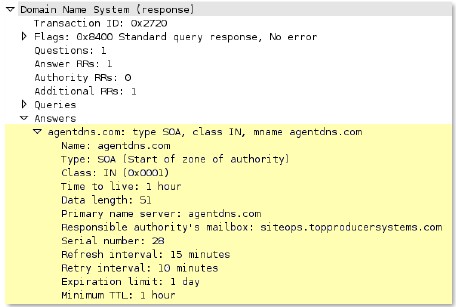 dns-req-answer-section context capture
