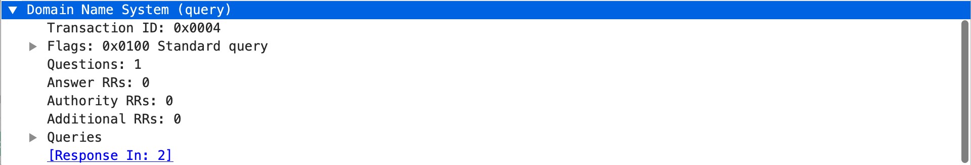 dns-req-protocol-payload context capture