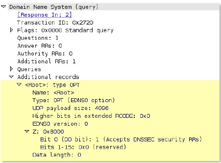 dns-rsp-addition-section context capture