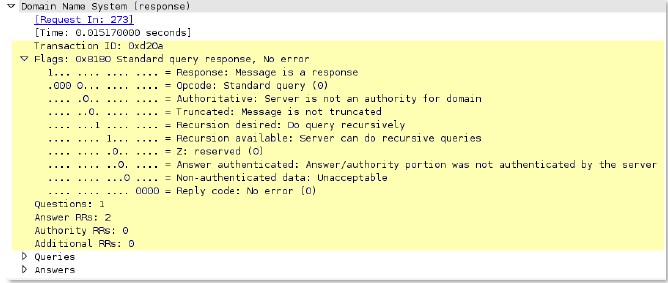 dns-rsp-header context capture