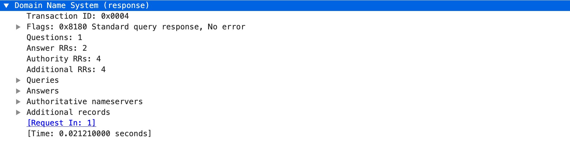 dns-rsp-protocol-payload context capture