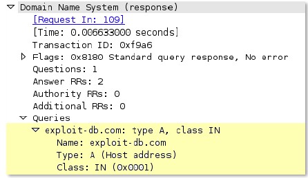 dns-rsp-queries-section context capture
