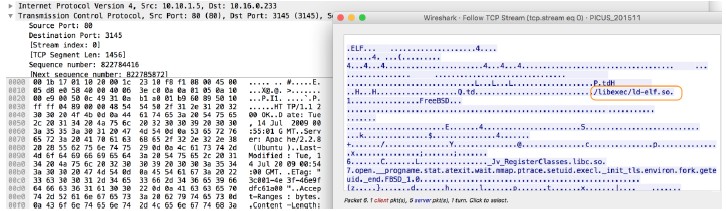 file-elf-body context capture