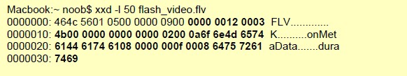 file-flv-body context capture