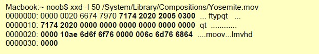 file-mov-body context capture