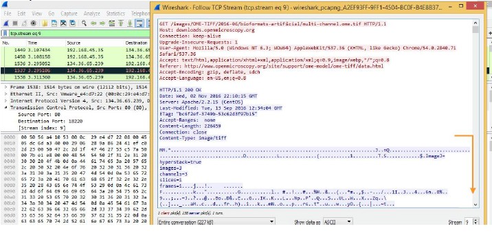 file-tiff-body context capture