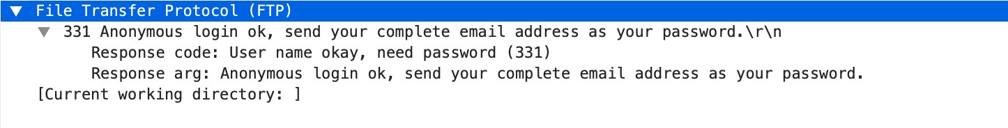 ftp-rsp-protocol-payload context capture