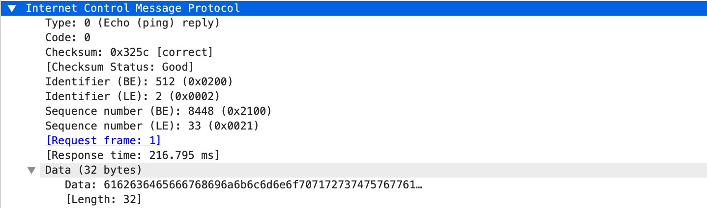 icmp-req-protocol-payload context capture
