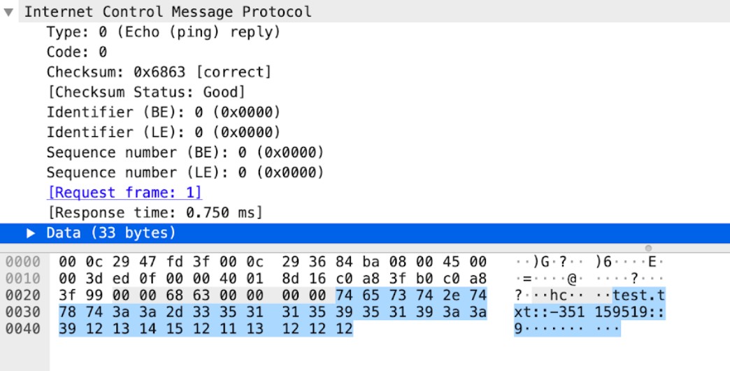 icmp-rsp-data context capture