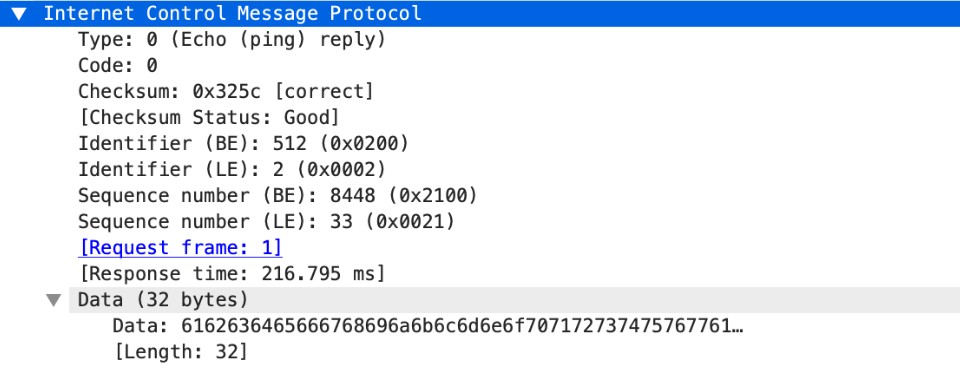 icmp-rsp-protocol-payload context capture