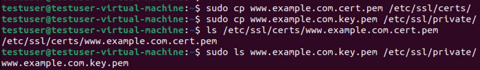 Linux sudo cp command example