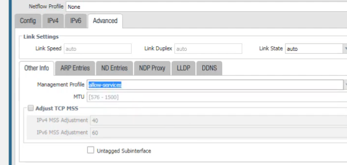 Palo Alto Networks GUI: Ethernet Interface configuration window - Advanced tab for Management Profile.
