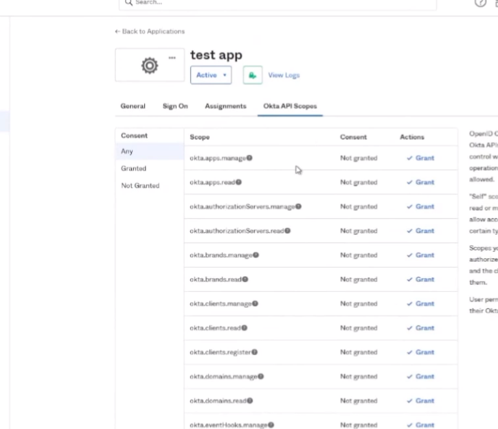 Okta App - Configuring API Scopes