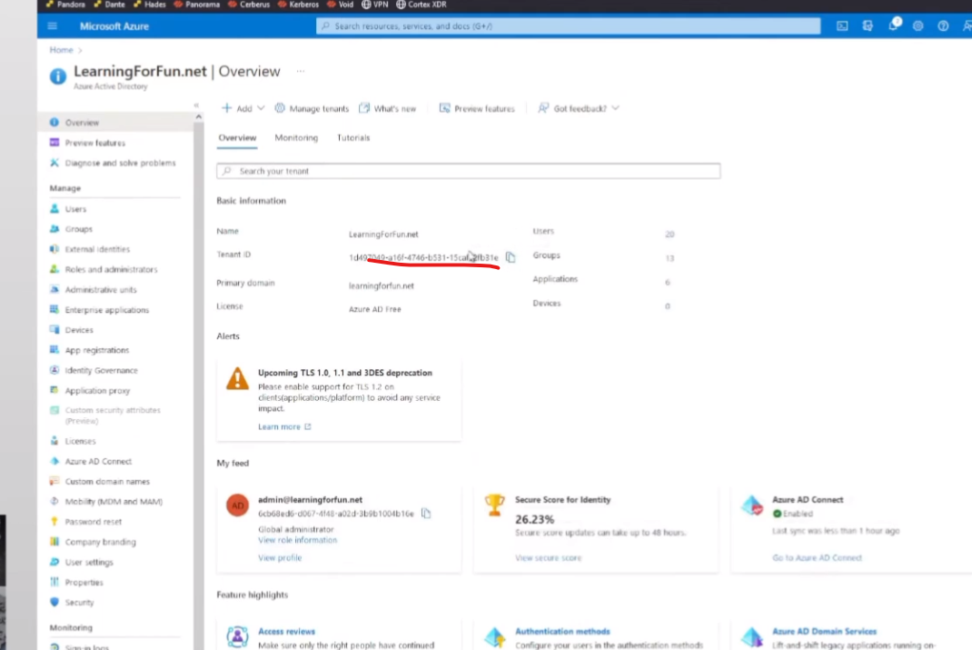Copying Tenant ID and Primary Domain from Azure