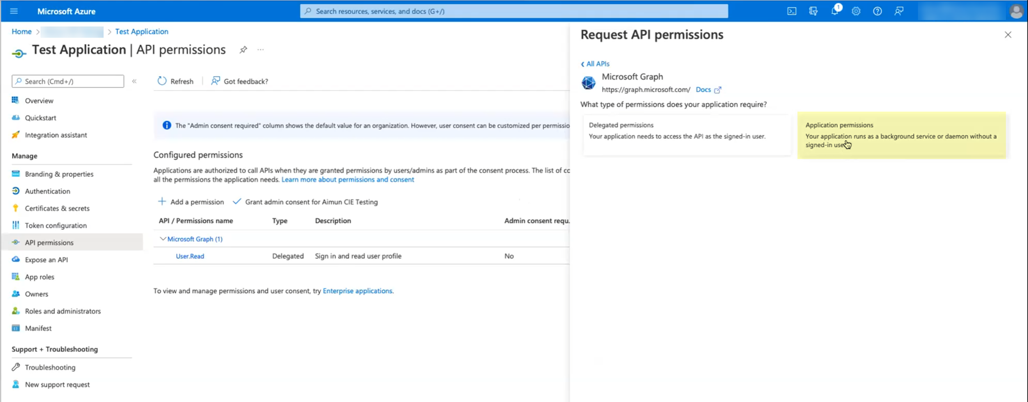 Select Application Permissions