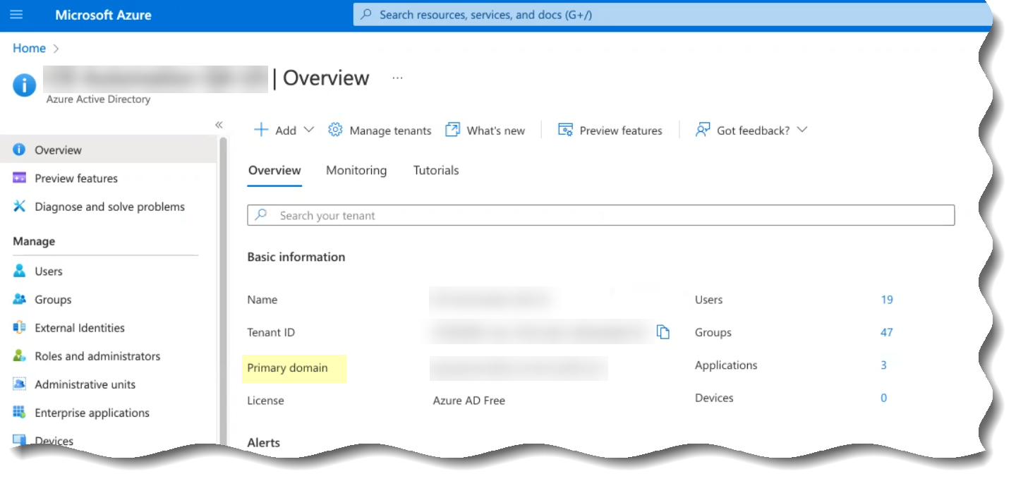 Azure Primary Domain