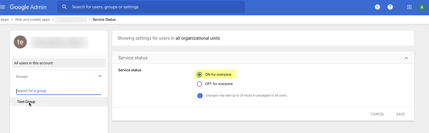 Screenshot of Google App details